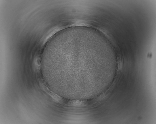 X0000113211266200910011312