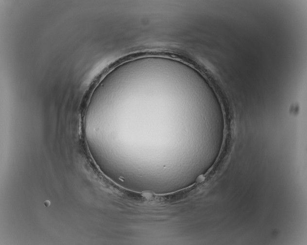 X0000113211267200910011312