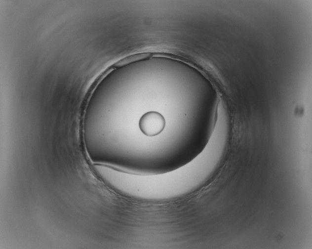 X0000113211268200910011312