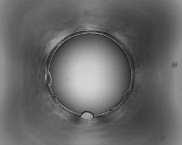 X0000113211269200910011311