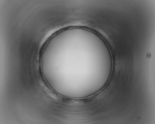 X0000113211270200910011311