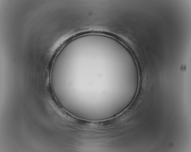 X0000113211271200910011311