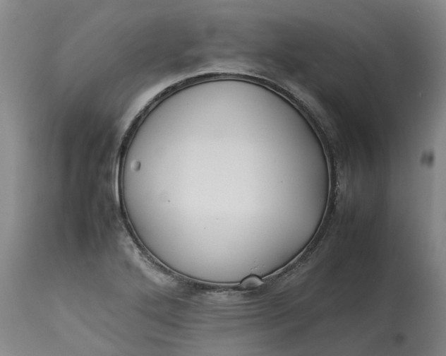 X0000113211272200910011311