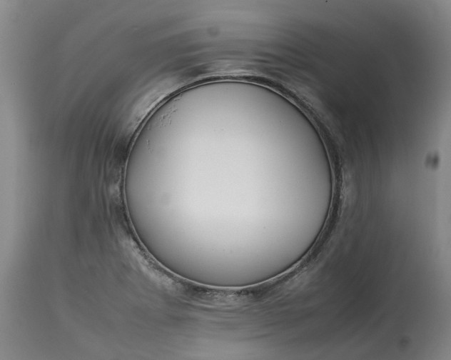 X0000113211273200910011311