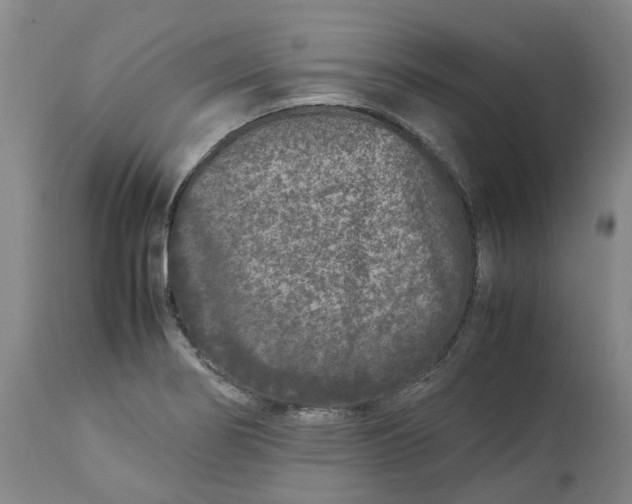 X0000113211274200910011311