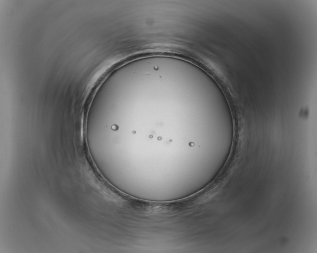 X0000113211275200910011311