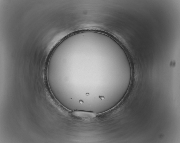 X0000113211277200910011311