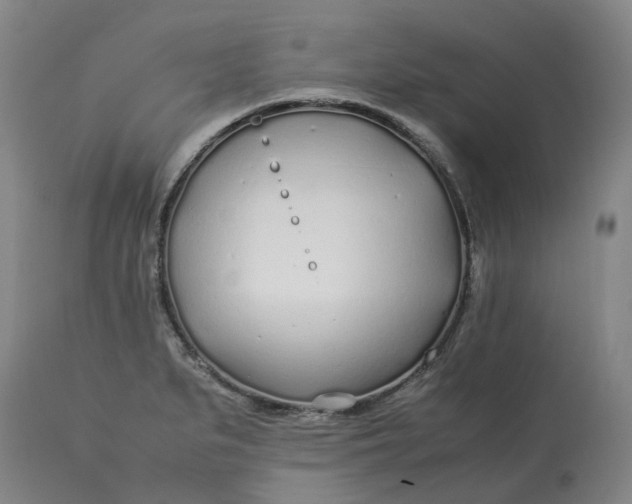 X0000113211279200910011311