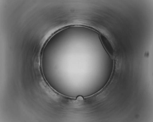 X0000113211280200910011311