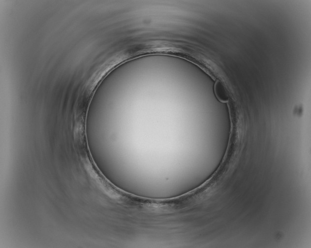 X0000113211281200910011311