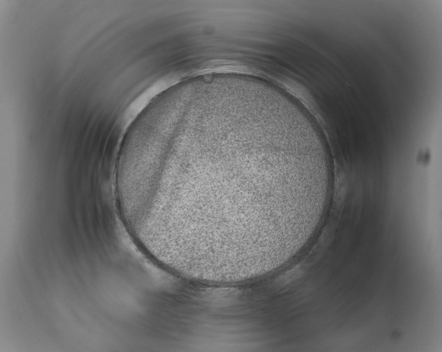 X0000113211282200910011311