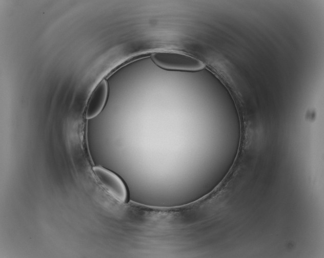 X0000113211284200910011311