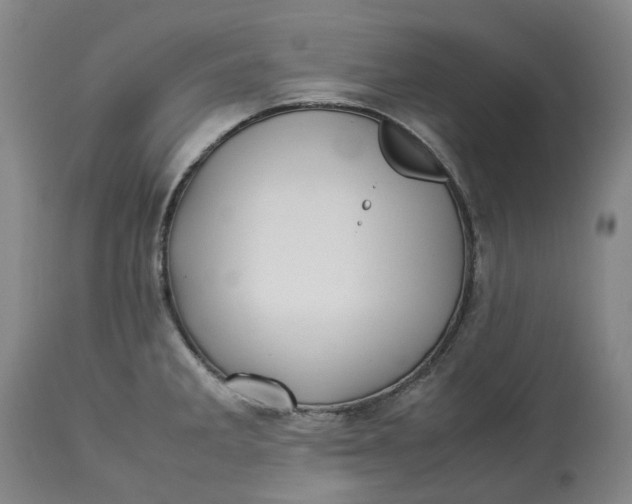 X0000113211285200910011311