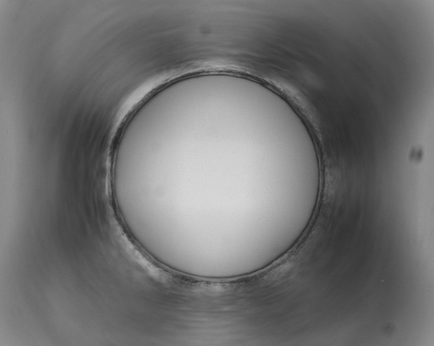 X0000113211286200910011311