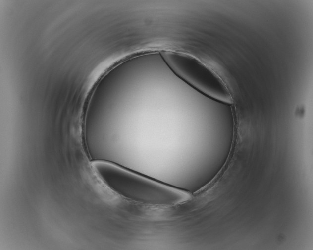 X0000113211288200910011311