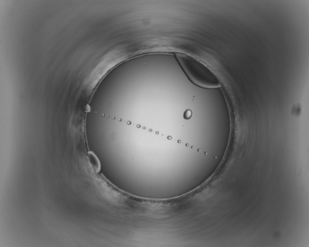 X0000113211289200910011311