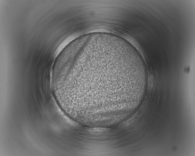 X0000113211290200910011311