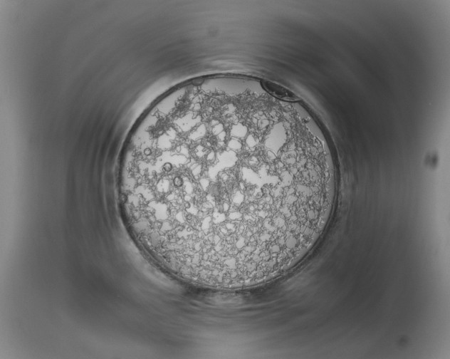 X0000113211291200910011311