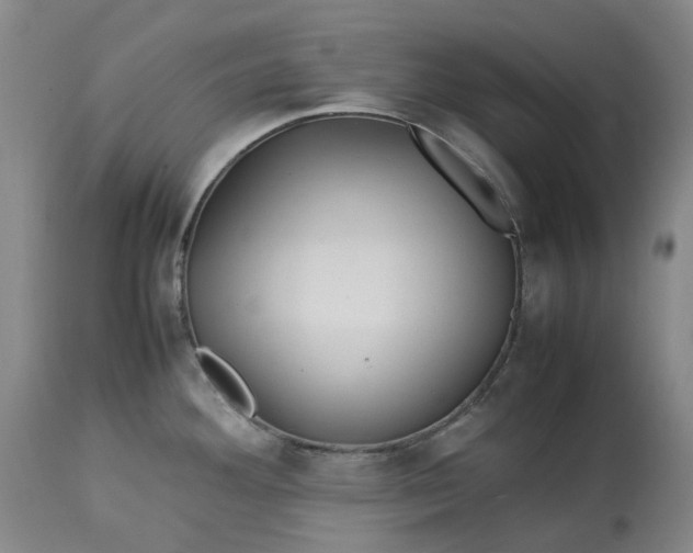 X0000113211292200910011311