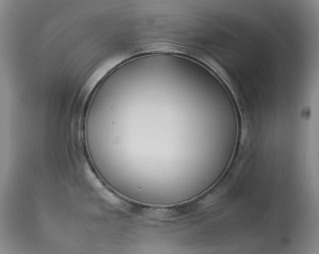 X0000113211293200910011311