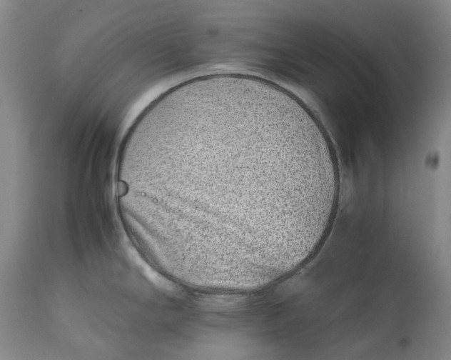 X0000113211294200910011311