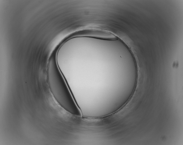 X0000113211296200910011311