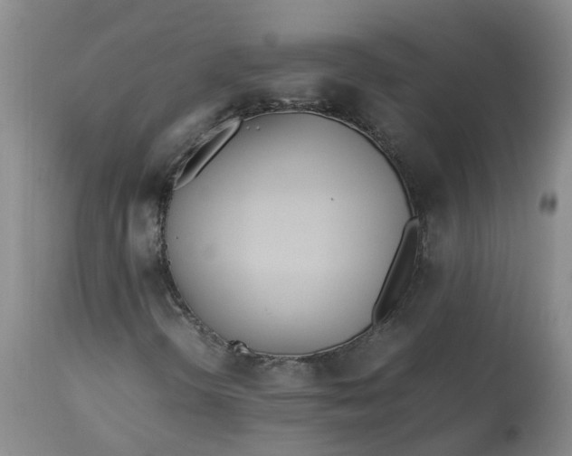 X0000113211298200910011310