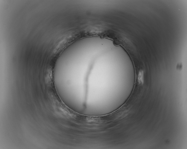 X0000113211299200910011310