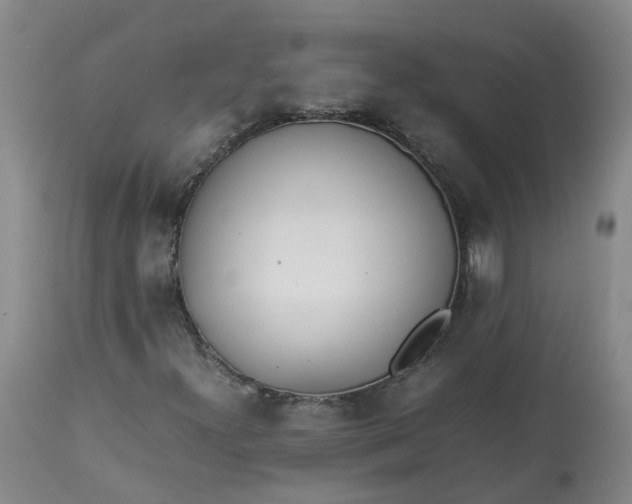 X0000113211300200910011310