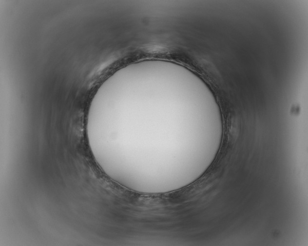 X0000113211301200910011310