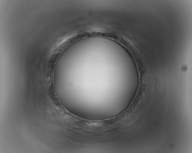 X0000113211303200910011310