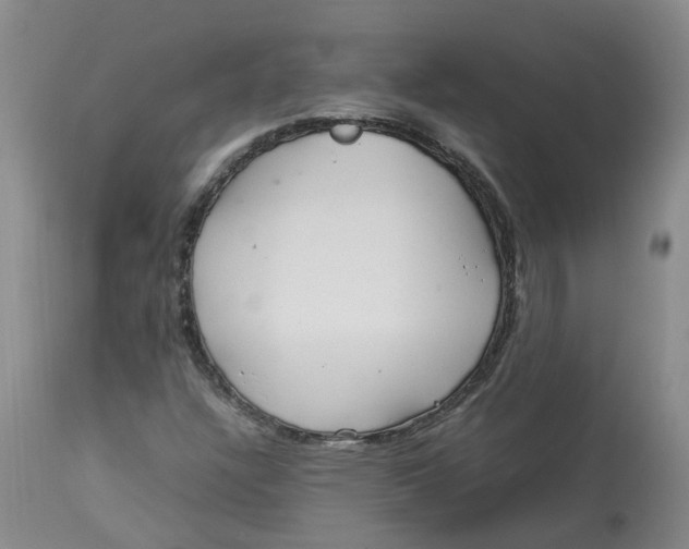 X0000113211304200910011310