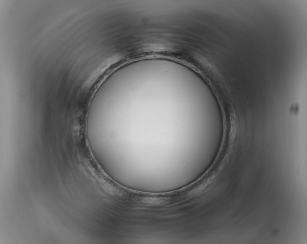 X0000113211305200910011310