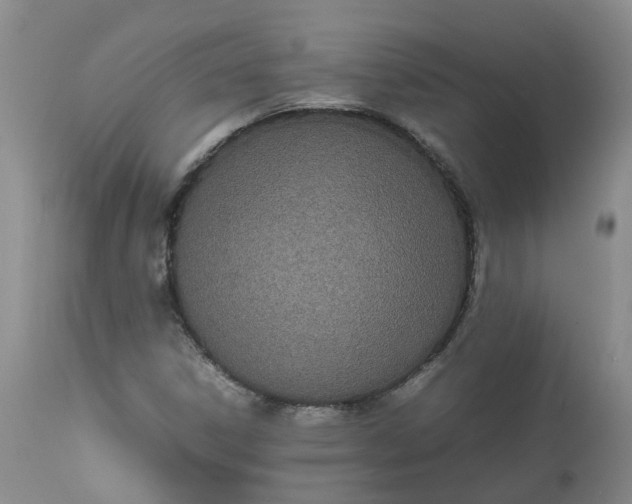 X0000113211306200910011310