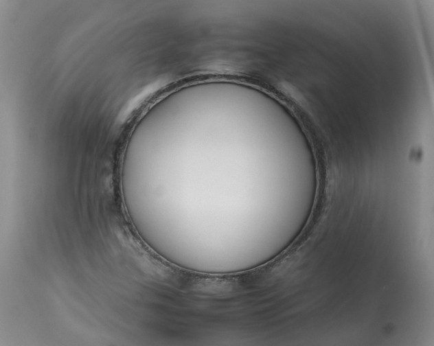 X0000113211307200910011310