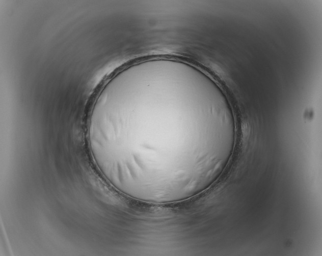 X0000113211308200910011310