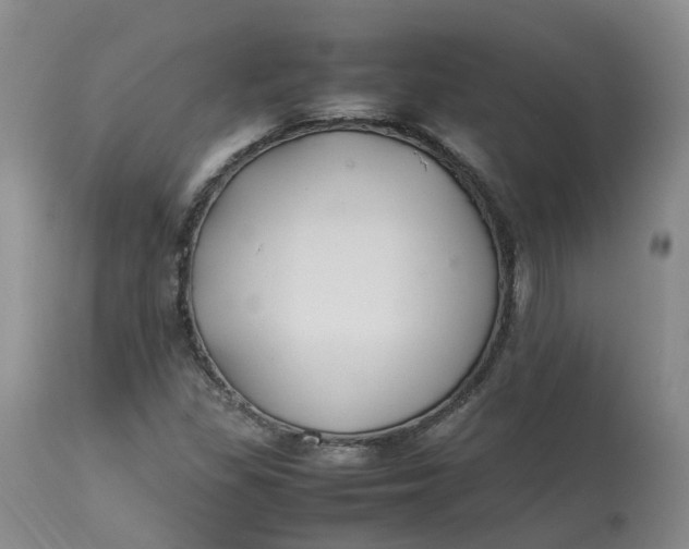 X0000113211309200910011310