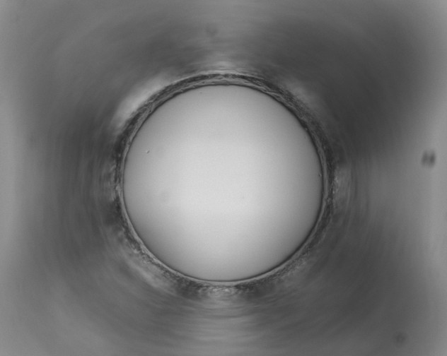 X0000113211310200910011310