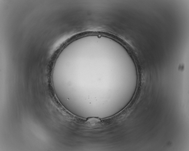 X0000113211311200910011310