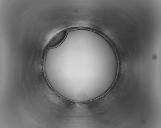 X0000113211312200910011310