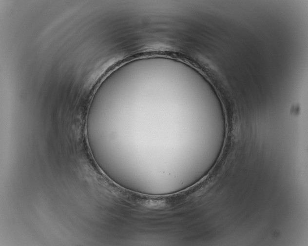 X0000113211313200910011311