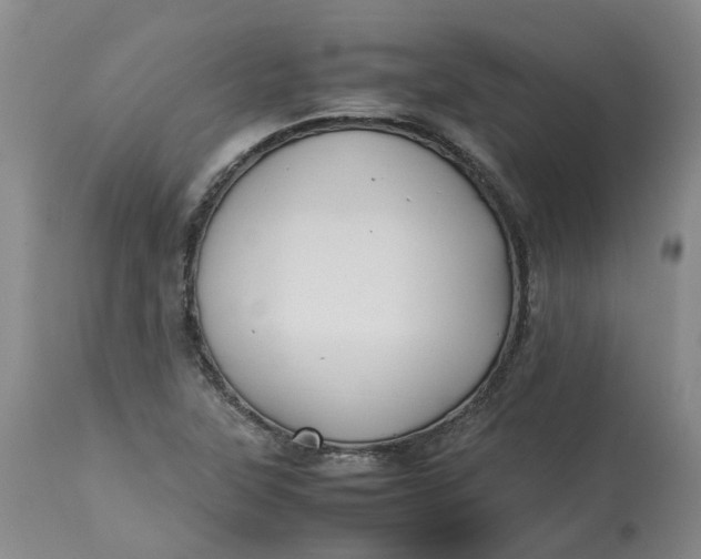 X0000113211315200910011311