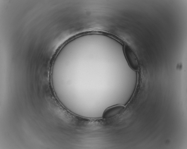 X0000113211316200910011311