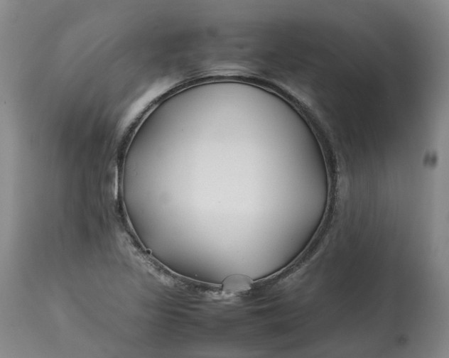 X0000113211317200910011311