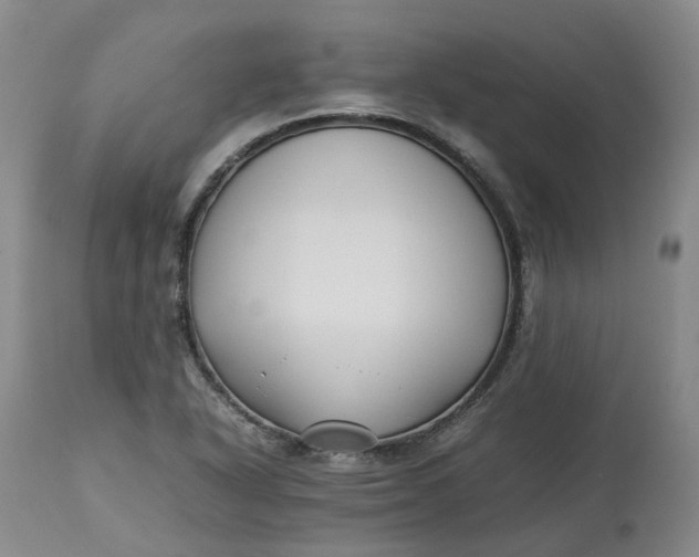 X0000113211318200910011311