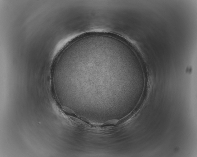 X0000113211319200910011311