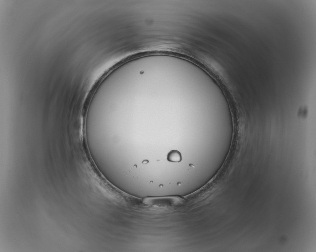 X0000113211324200910011311