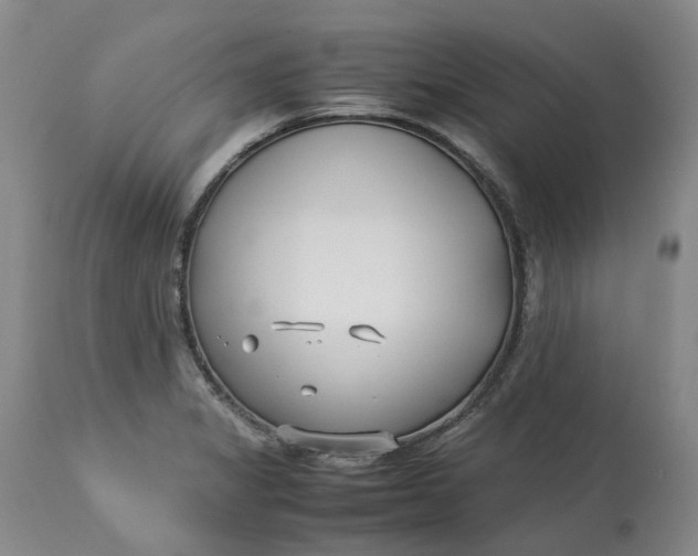 X0000113211325200910011311