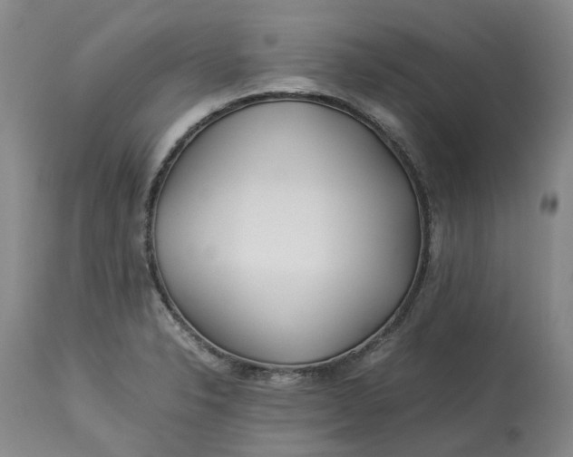 X0000113211326200910011311