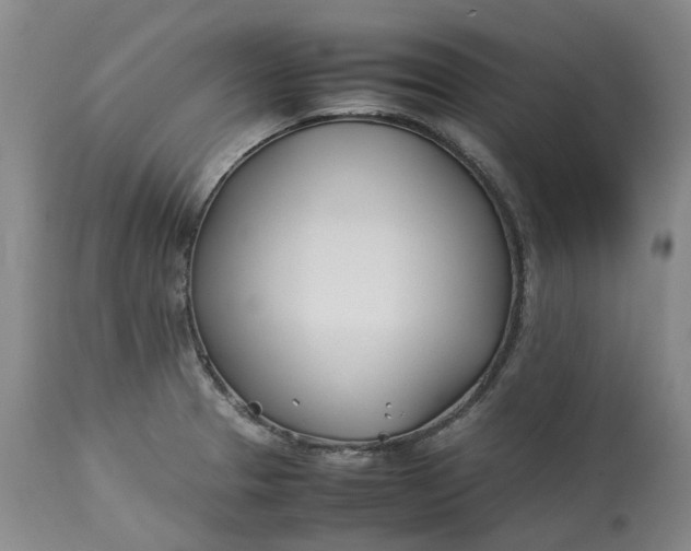 X0000113211329200910011311